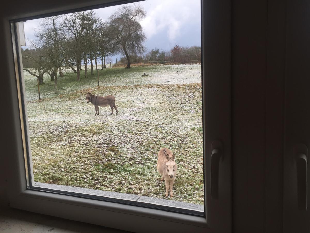 Hotel Am Rossberg アルテンアール エクステリア 写真